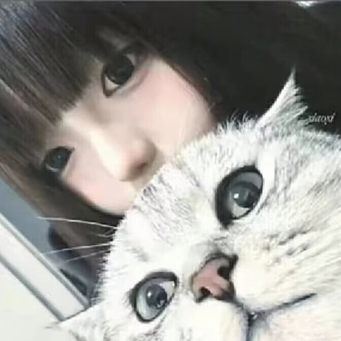  星海资源网-源码网